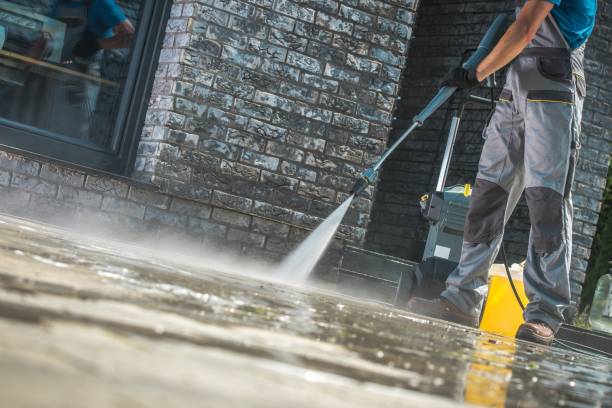 Best Building Exterior Washing  in South St Paul, MN
